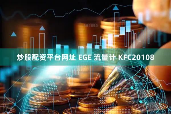 炒股配资平台网址 EGE 流量计 KFC20108