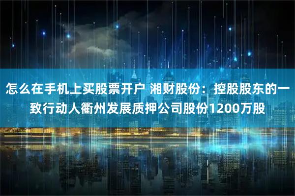 怎么在手机上买股票开户 湘财股份：控股股东的一致行动人衢州发展质押公司股份1200万股